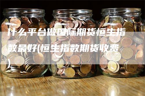 什么平台做国际期货恒生指数最好(恒生指数期货收费)