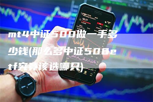 mt4中证500做一手多少钱(那么多中证500etf究竟该选哪只)