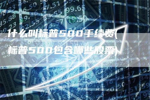 什么叫标普500手续费(标普500包含哪些股票)