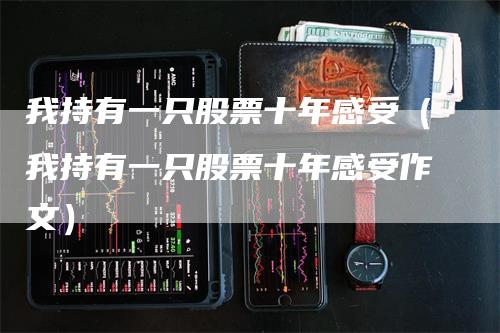 我持有一只股票十年感受（我持有一只股票十年感受作文）