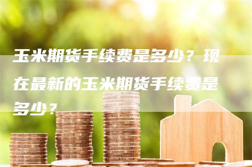 玉米期货手续费是多少？现在最新的玉米期货手续费是多少？