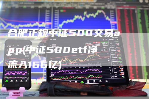 合肥正规中证500交易app(中证500etf净流入166亿)