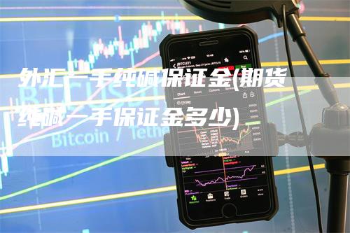 外汇一手纯碱保证金(期货纯碱一手保证金多少)