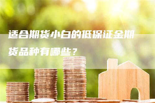 适合期货小白的低保证金期货品种有哪些？