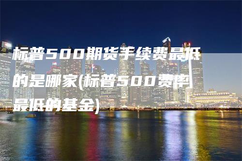 标普500期货手续费最低的是哪家(标普500费率最低的基金)