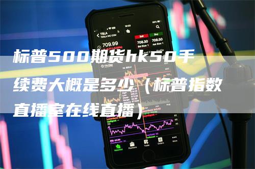 标普500期货hk50手续费大概是多少（标普指数直播室在线直播）