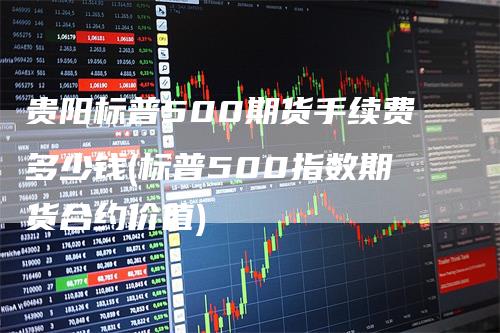 贵阳标普500期货手续费多少钱(标普500指数期货合约价值)